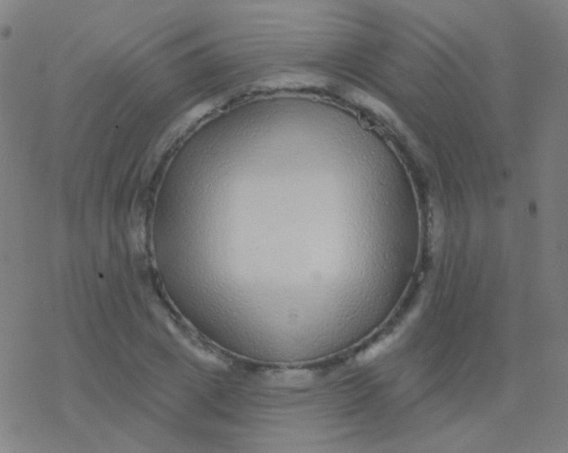 X0000077370833200611101702