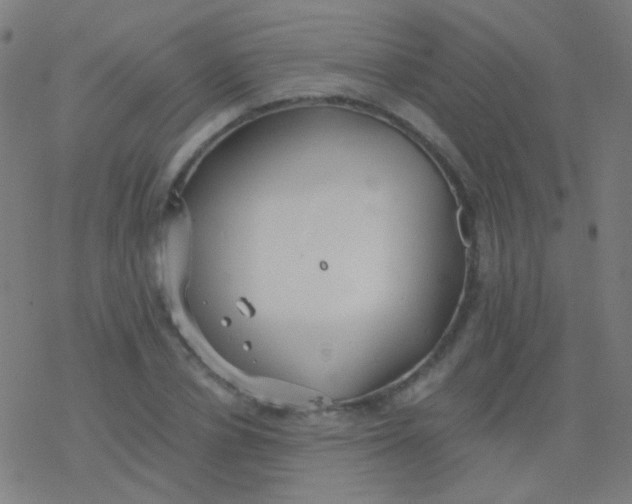 X0000077370834200611101702