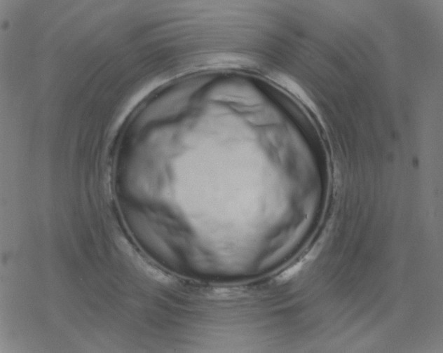 X0000077370835200611101702