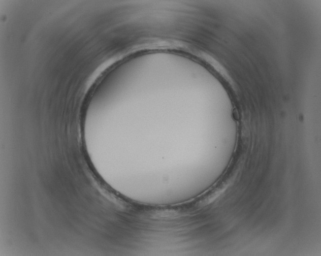 X0000077370837200611101702