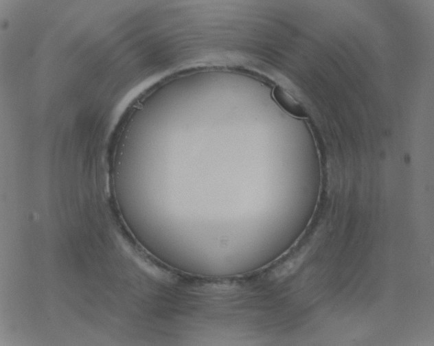 X0000077370838200611101702