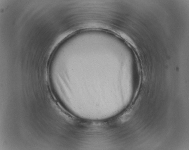 X0000077370839200611101702