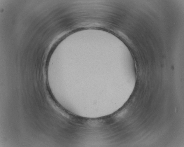 X0000077370840200611101702