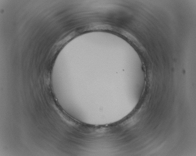 X0000077370841200611101702