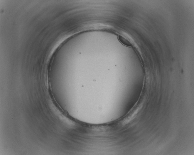 X0000077370843200611101702