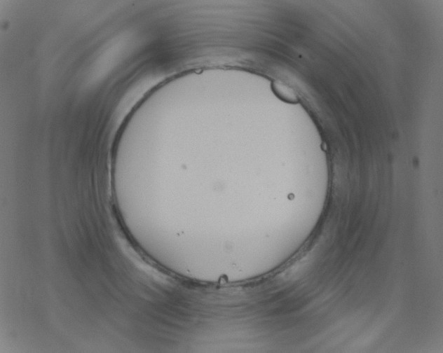 X0000077370844200611101702