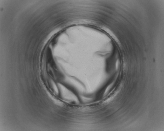 X0000077370845200611101702