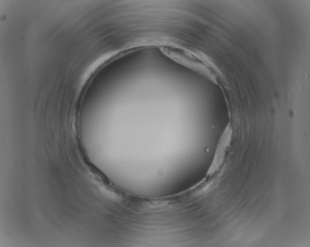 X0000077370846200611101702