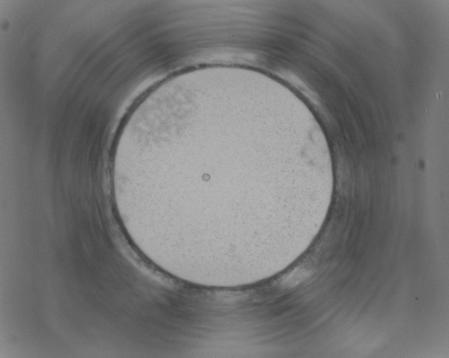 X0000077370848200611101702