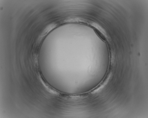 X0000077370849200611101702