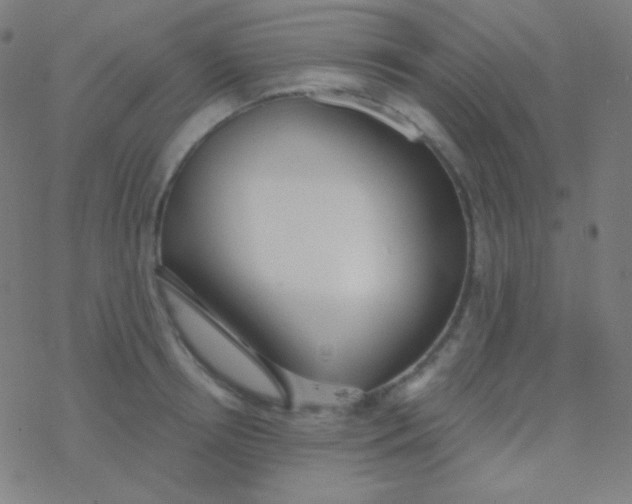 X0000077370850200611101702