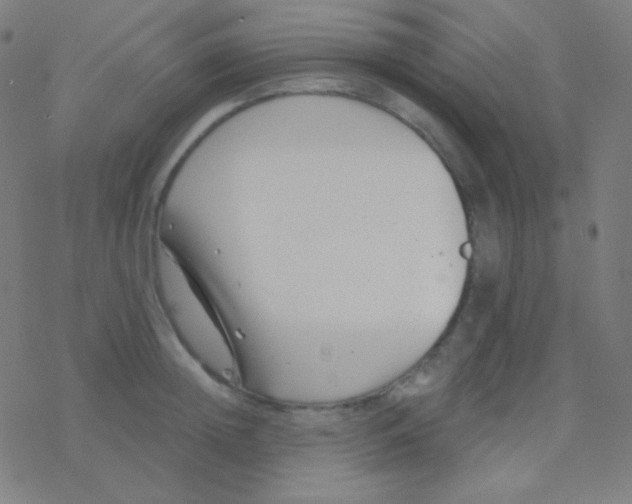 X0000077370852200611101702