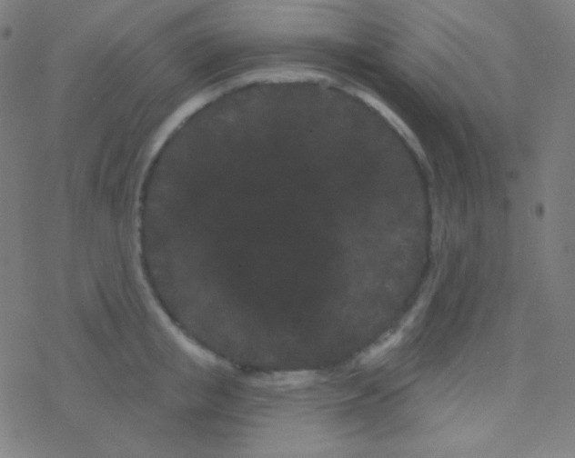 X0000077370853200611101702