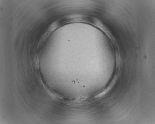 X0000077370857200611101702