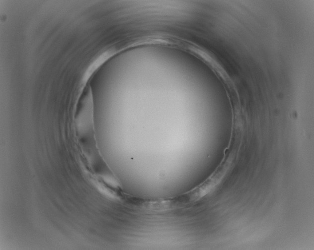 X0000077370858200611101702