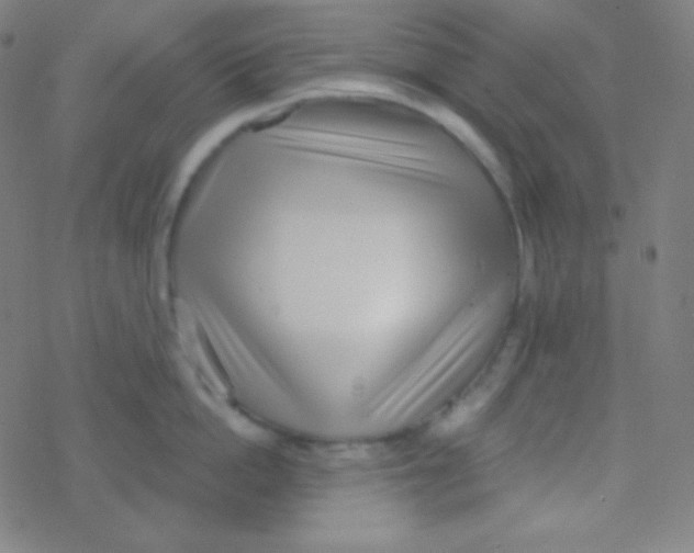 X0000077370862200611101702