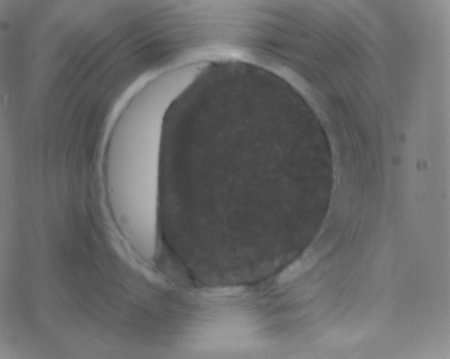 X0000077370864200611101702