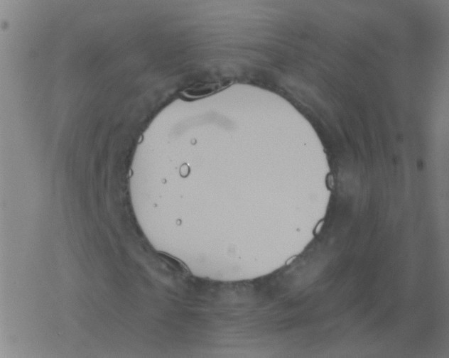 X0000077370865200611101702