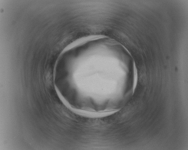 X0000077370866200611101702