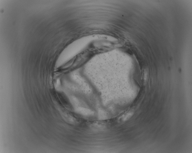 X0000077370868200611101702