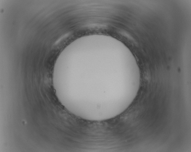 X0000077370869200611101702