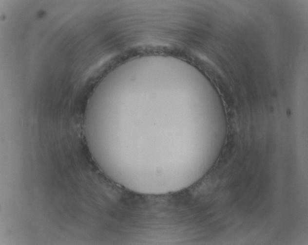 X0000077370870200611101702