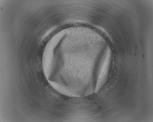 X0000077370871200611101701