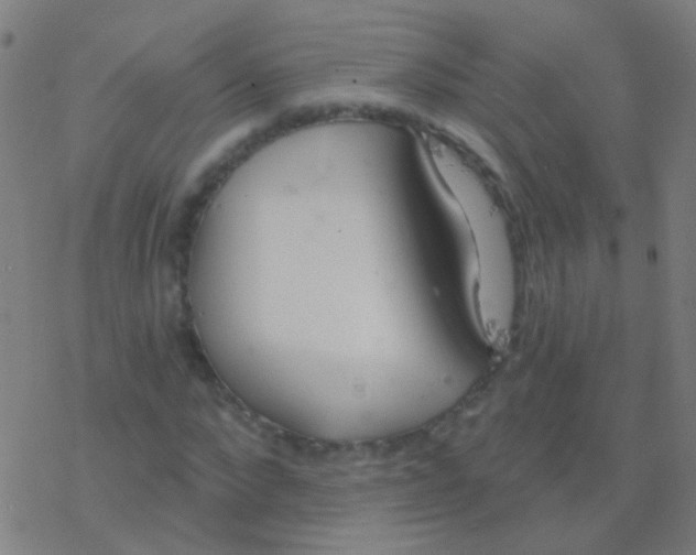 X0000077370872200611101701