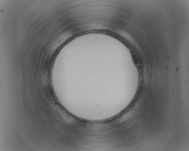 X0000077370873200611101701