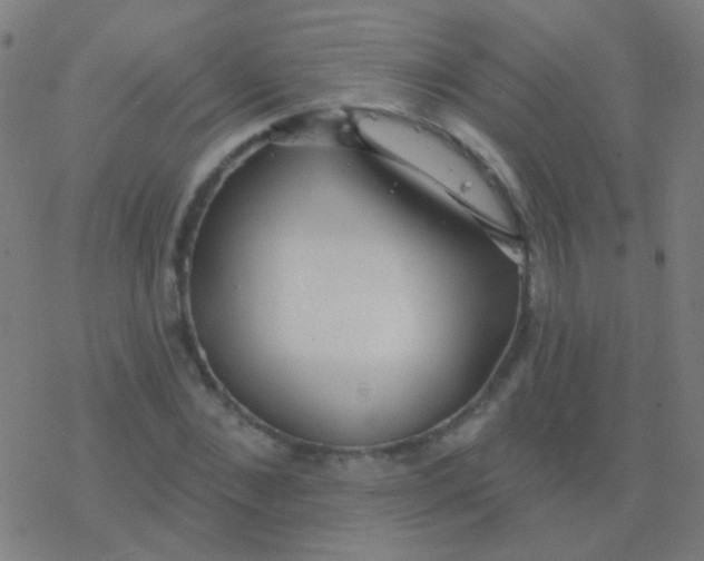 X0000077370876200611101701