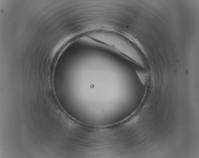 X0000077370877200611101701