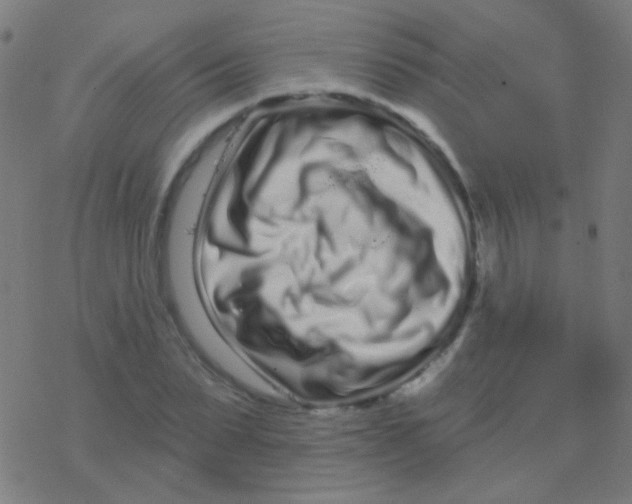 X0000077370879200611101701