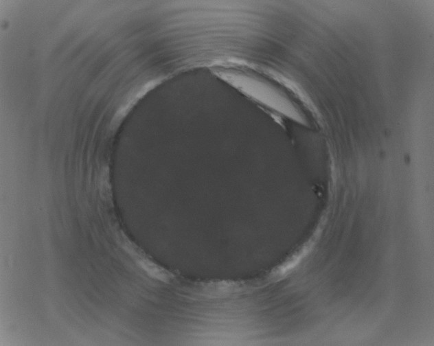 X0000077370881200611101701