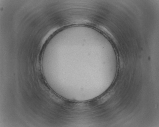 X0000077370883200611101701