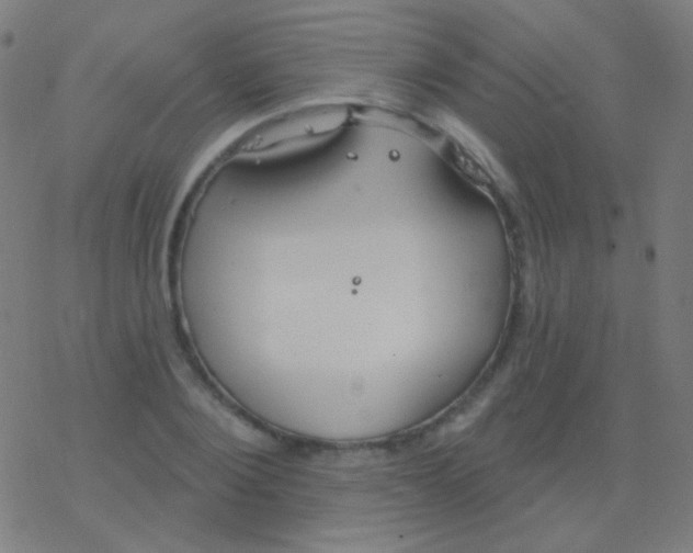 X0000077370884200611101701