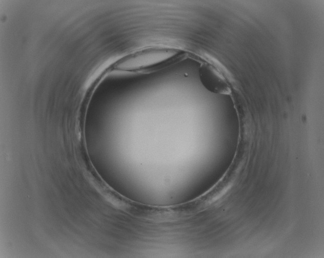 X0000077370885200611101701