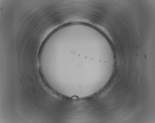 X0000077370887200611101701