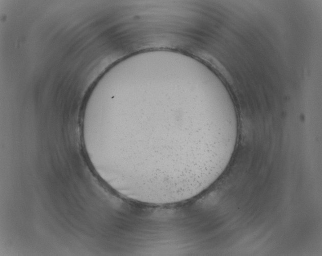 X0000077370890200611101701