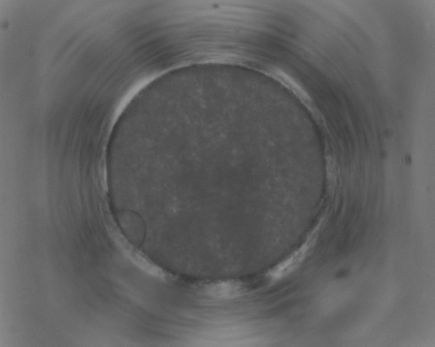 X0000077370891200611101701