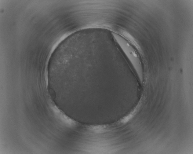 X0000077370892200611101701