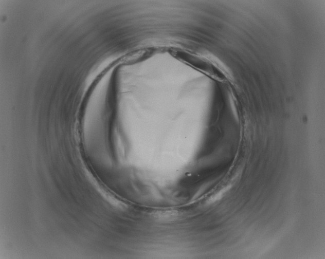 X0000077370893200611101701