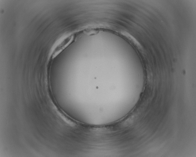 X0000077370894200611101701