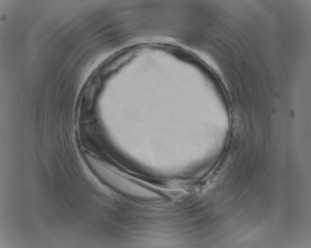 X0000077370895200611101701