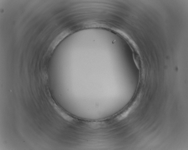 X0000077370897200611101701