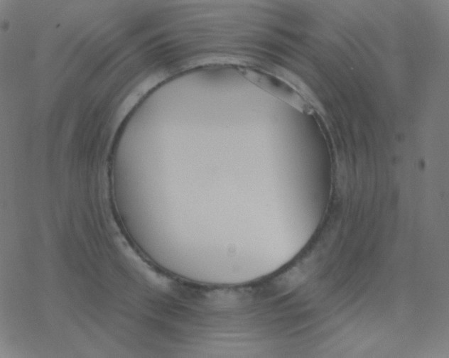 X0000077370898200611101701