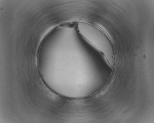 X0000077370900200611101701