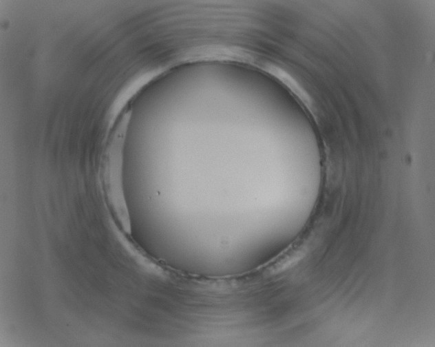 X0000077370901200611101701