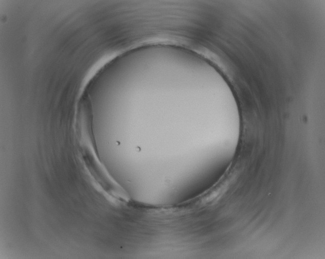 X0000077370902200611101701