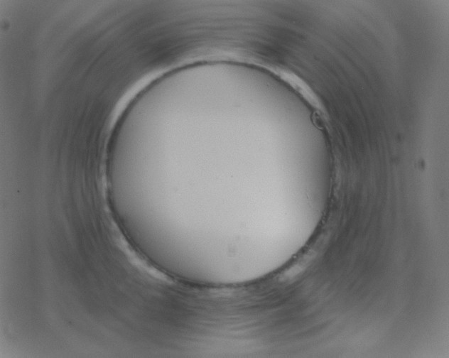 X0000077370904200611101701