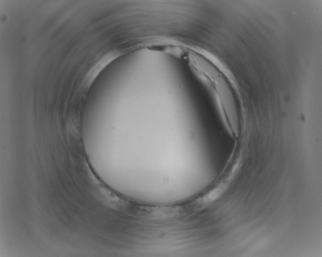 X0000077370905200611101701